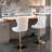 Karym Swivel Upholstered Counter Stool-417241056-417241059