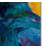 Kucera 'Crow Study' Print on Wrapped Canvas-22074148