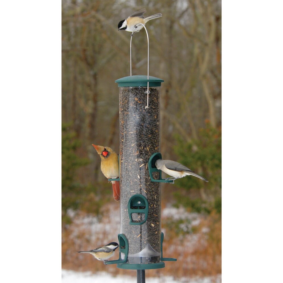 Aspects Inc Spruce Quick Clean Tube Bird Feeder - Wayfair Canada