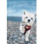 « doggie high-5 » par parvez taj,-reproduction d’art sur toile tendue-1826469083