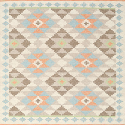 Southwestern Indoor Rug