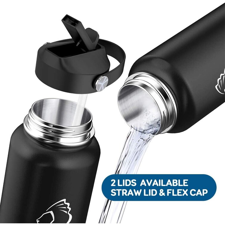 https://assets.wfcdn.com/im/26631974/resize-h755-w755%5Ecompr-r85/1665/166548720/Buzio+Insulated+Stainless+Steel+Water+Bottle.jpg