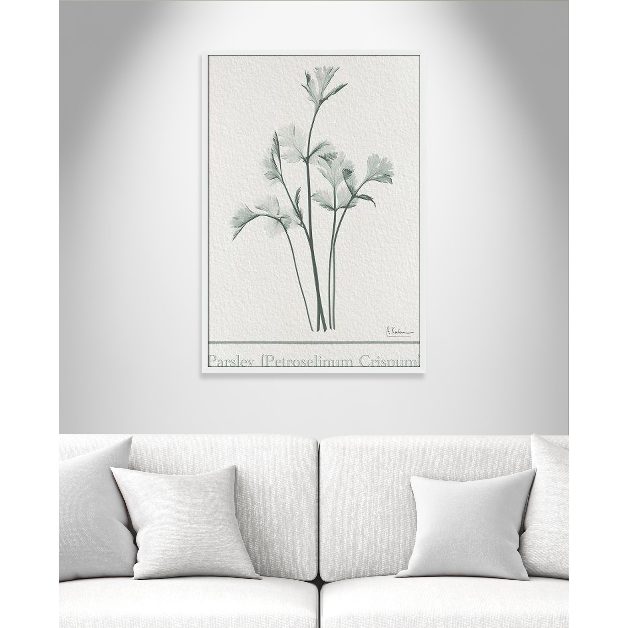 Parsley II Framed On Paper by Albert Koetsier Print, 41.5" H x 29.5" W x 1.25" D, Satin White Framed Paper