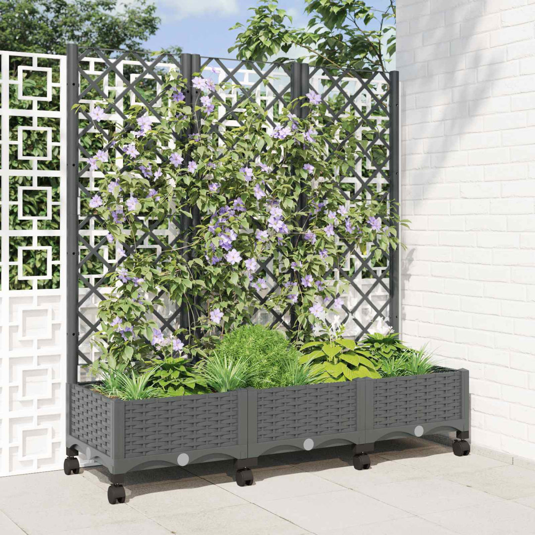 Planter Box