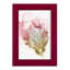 «Abinabi Flowering Pink I», impression encadrée sur papier-395270903-395270893