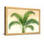 Plantes et fleurs palmier tropical sur fond de feuilles vertes-1975771392-1975771398-1975771647