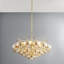6-Light Chandelier