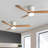 Janely 42'' Ceiling Fan with LED Lights