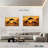 Flying Dolphins-107949814