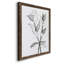 Charcoal Foliage II - Impression de cadre photo sur papier-1359303473-1359303460
