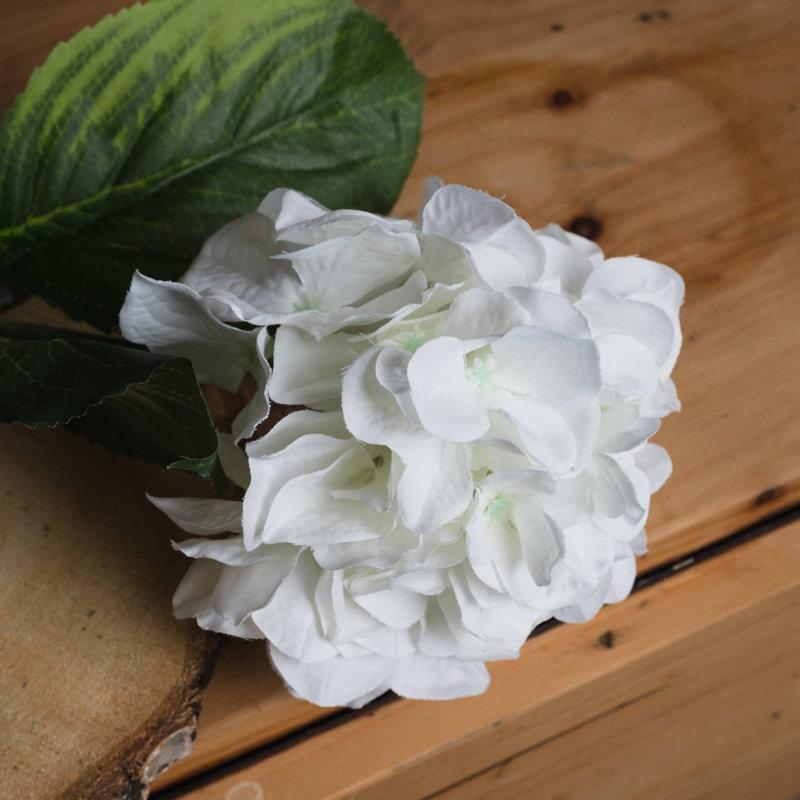 Hydrangea Arrangement