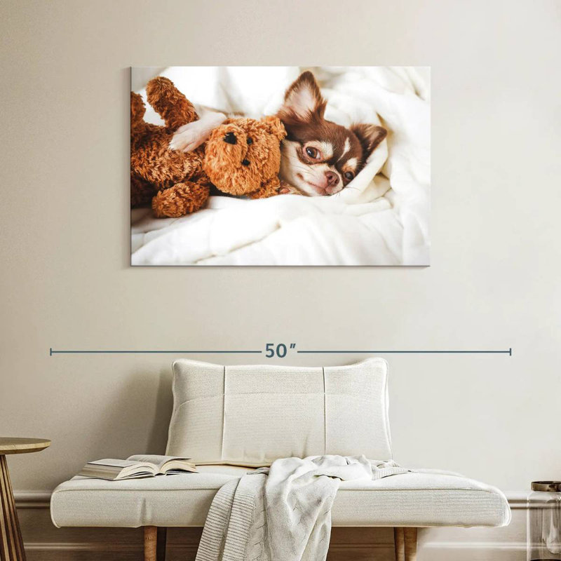 Chihuahua Brampt avec ours en peluche, H 26 po x l 39 po