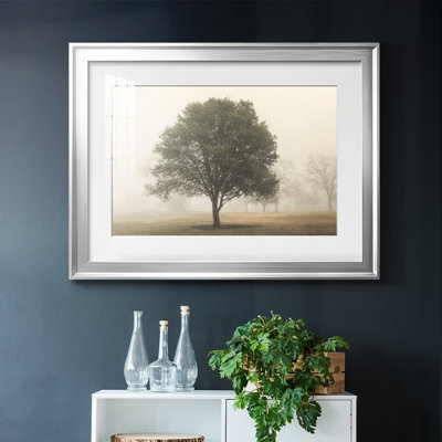 Arbres dans le brouillard I