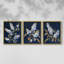Floral Study  Series  LIV  -Set Of 3 Framed Giclee Prints -Ready to Hang-107253842-107253844