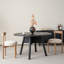 Combinaison de table et chaises en bois