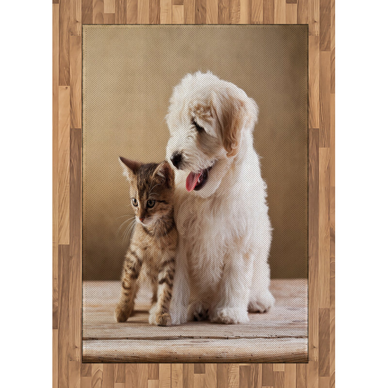 Lake City Hand Woven Area Rug, Rectangle 120 x 180cm