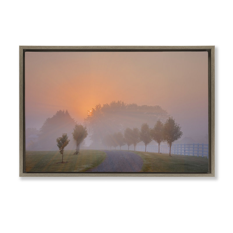 «Grove Path at Sunset Floater» par Marty Hulsebos, Cadre flottant orme Montalcino, H 21 po x l 31 po