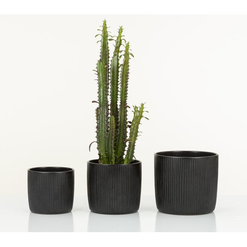 Cache-pot intérieur en céramique Kathrien, H 6,25 po x l 7 po x P 7 po, Noir