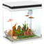 Fish Bowl