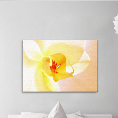 Print on Canvas