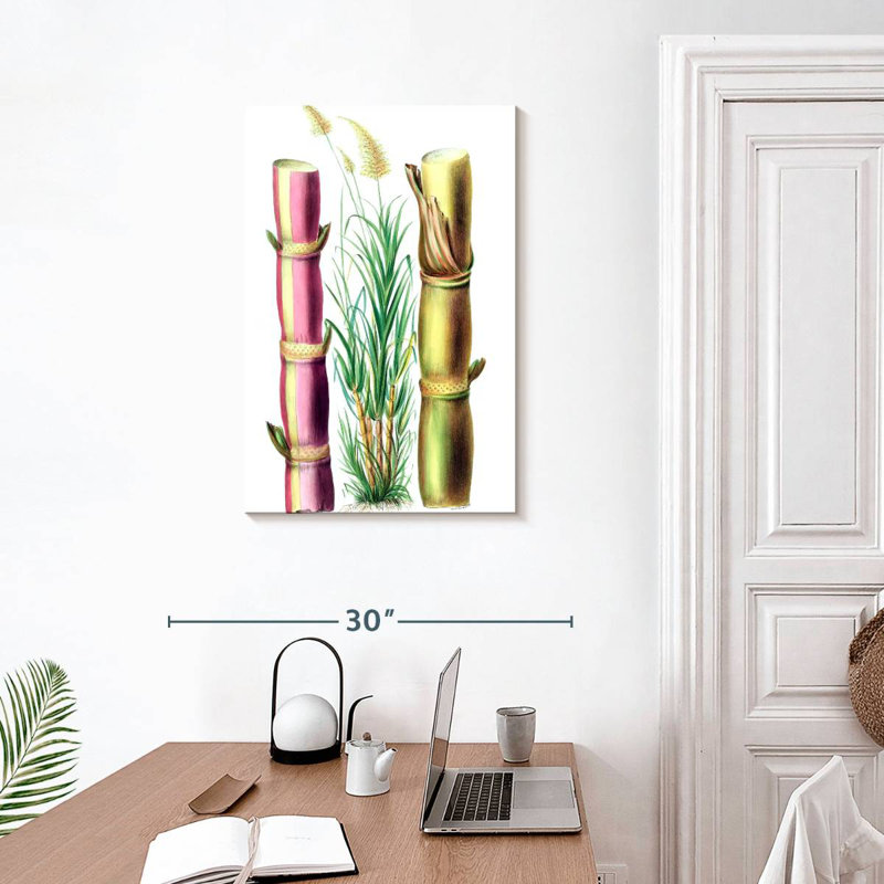 Harnek Sugarcane Stalks, 30" H x 20" W