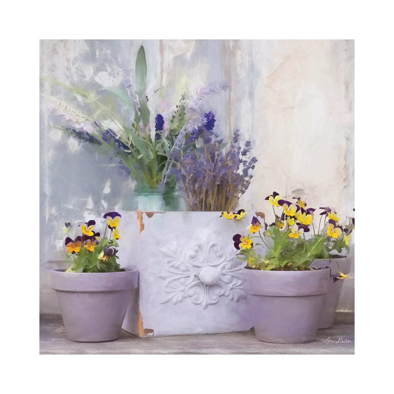 Pansy Still Life II by Lori Deiter - Wrapped Canvas Print, 45.72 cm H x 45.72 cm W x 1.91 cm D