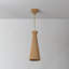 TALLMAN PENDANT-1402651356