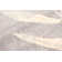 Tavon Floral Indoor Rug