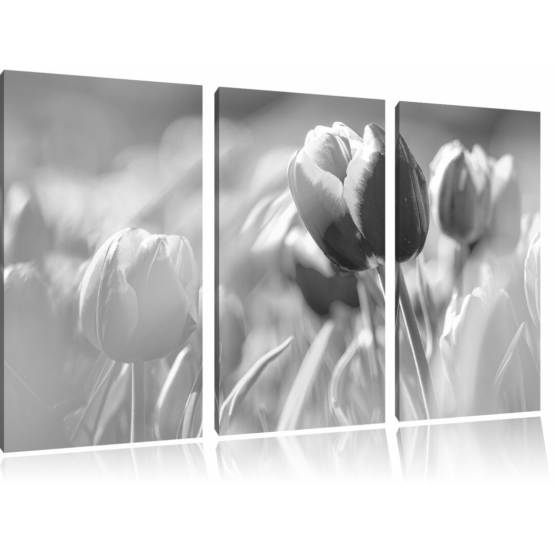 3-tlg. Leinwandbilder-Set „Blühende rote Tulpen“, Fotodruck