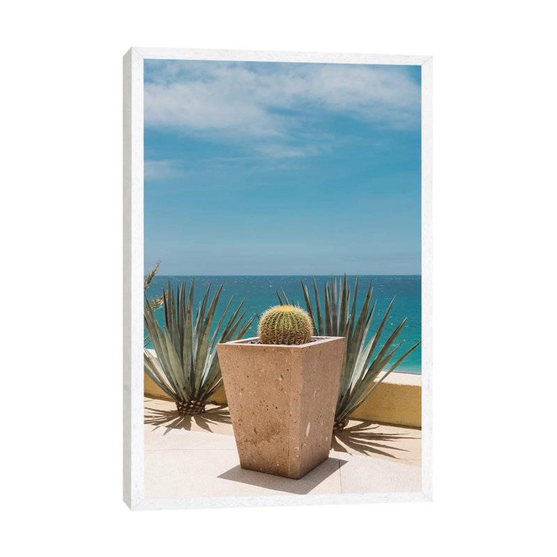 Cabo Cactus by Bethany Young - Print on Canvas, White Framed, 152.4cm H x 101.6cm W x 3.81cm D
