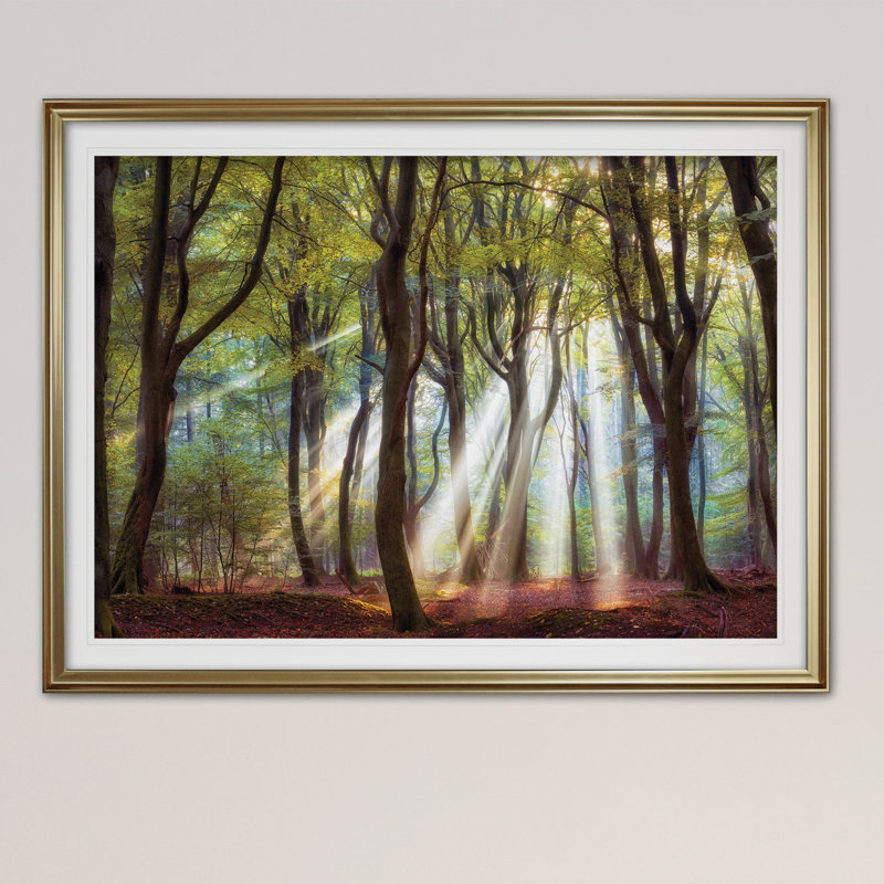 Majestic Morning - impression, Cadre doré, H 28 po x l 38 po x P 1,5 po