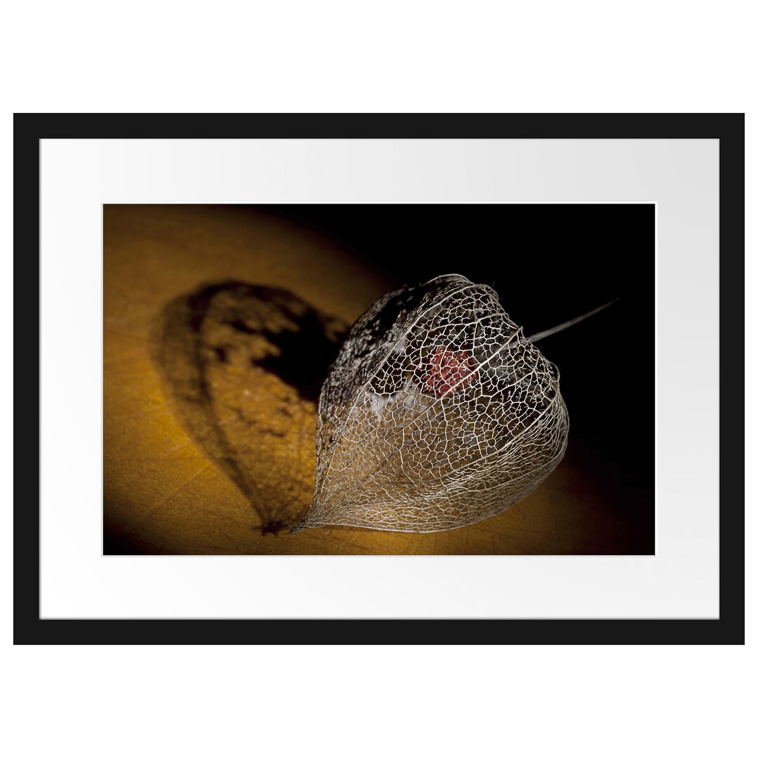 Gerahmtes Poster Schatten einer Physalis