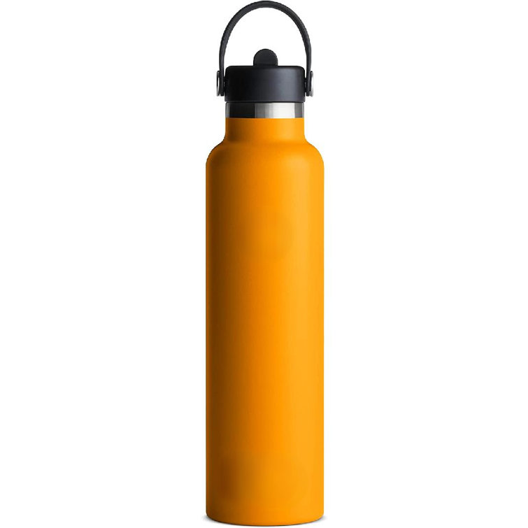 WD Lifestyle 16.9oz. Insulated Stainless Steel Water Bottle WD Lifestyle