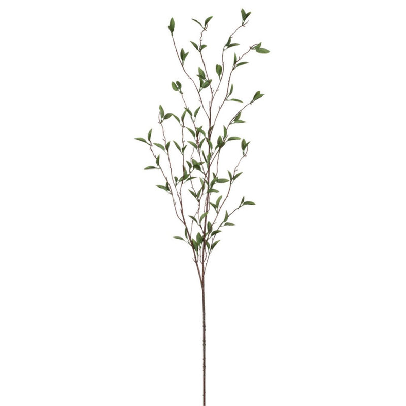 Foliage Arrangement