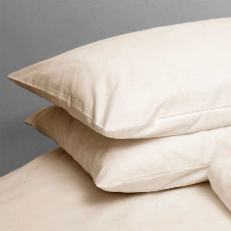 Ruggles Egyptian Cotton Pillow Case, Cream, 50cm H x 75cm W