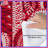 Red Abstract Circles Comforter-129089678