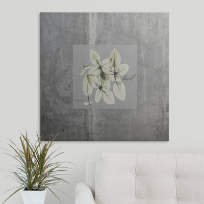 «Concrete Basil» par Redmayne, impression