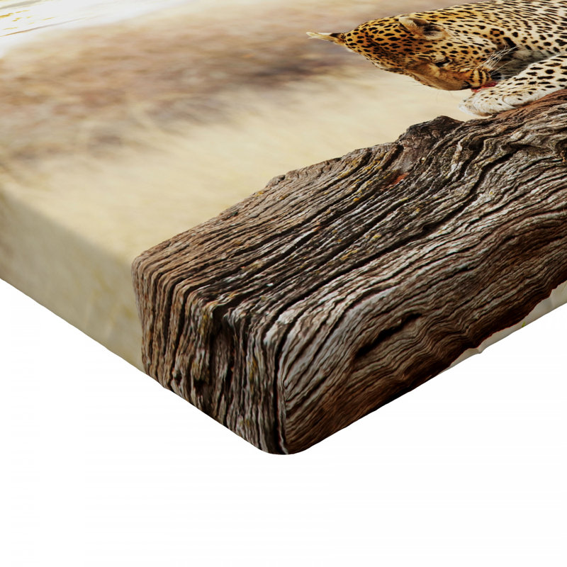 Drap-housse safari, Drap-housse de taille double