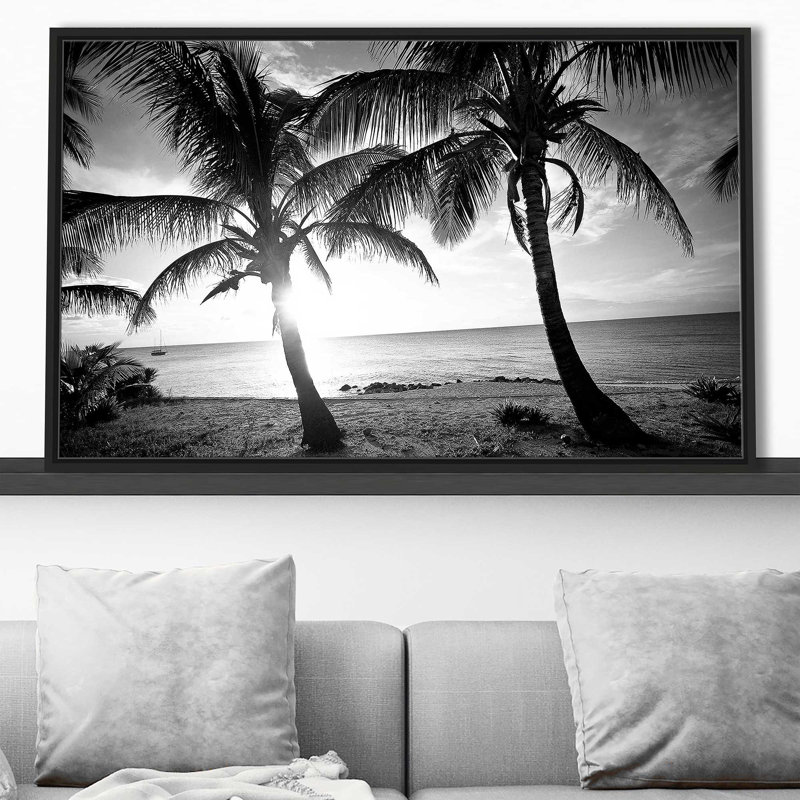BW Bimini Sunset par Susan Bryant - photographie, Cadre flottant noir, H 27,5 po x l 43,5 po x P 2 po