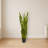 Sansevieria Artificial Plant