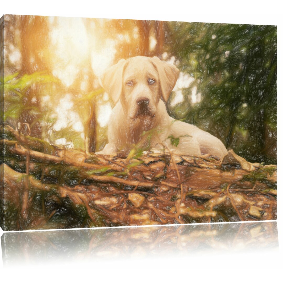 Leinwandbild „Hund im Wald bei Sonnenuntergang“, Grafikdruck