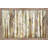 " Birch Path " by Carol Robinson-1520851509