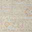 Biscayne Wool Oriental Area Rug in Tan-61470504