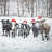 Curious Christmas Cows - Rustic Brown Metal Print for Home Decor