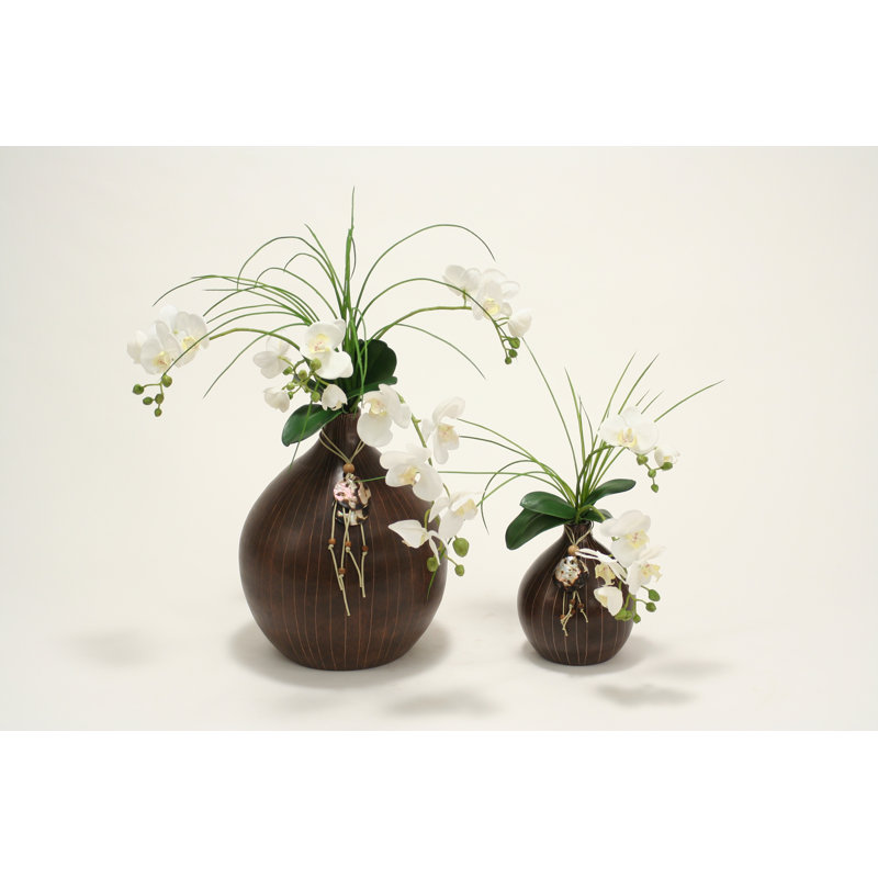 Orchid Arrangement in Vase