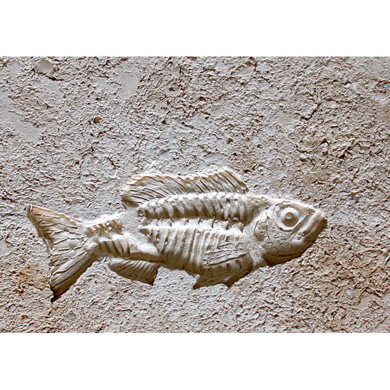 6" x 6" SeaStone Whole Medallion Tile in Buff