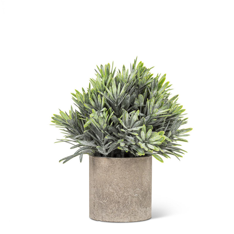 Assortiment de fleurs en forme de cône en pot