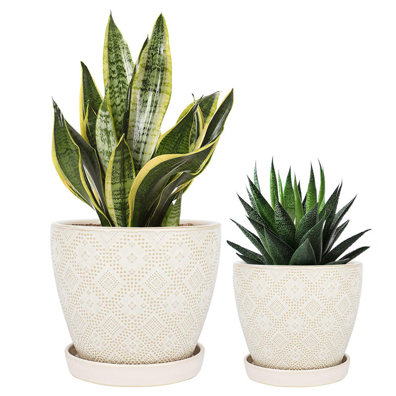 2 Piece Ceramic Plant Pot with Drainage Holes and Saucers, Creamy White