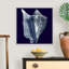 « Indigo shells I » par vision studio-impression-1160195861-1160195866