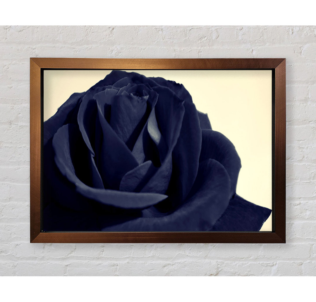 Schwarz Blaue Rose - Druck